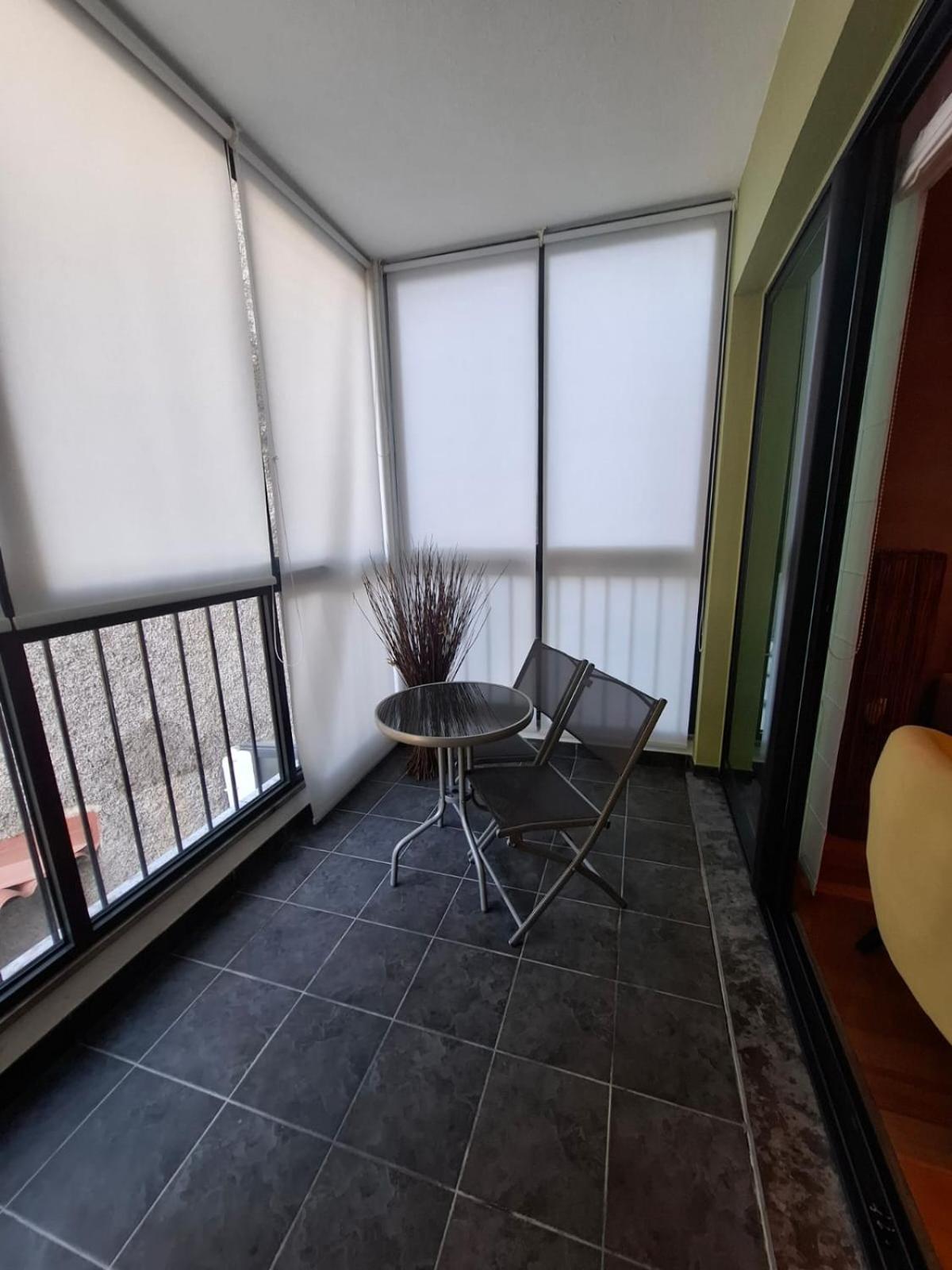 Cozy&Bright Apartment Machico  Zewnętrze zdjęcie